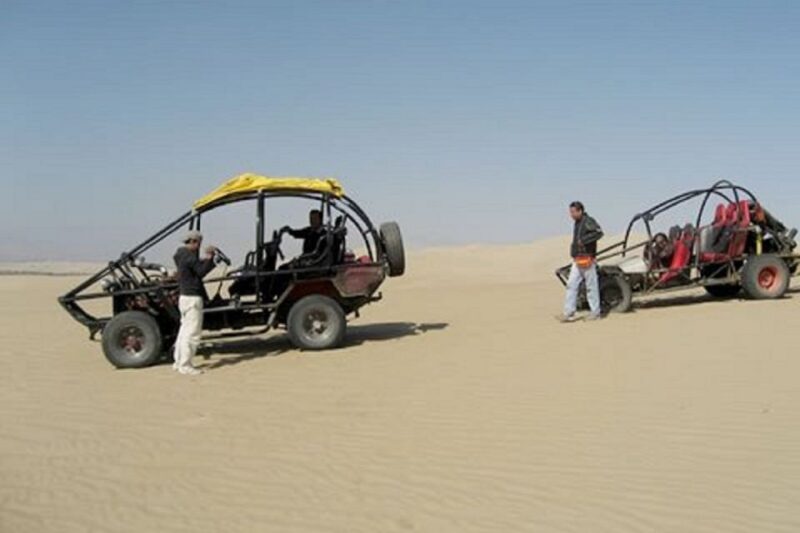 Paracas: Buggy and Sandboard Adventure - Paracas Ecosystem Insights