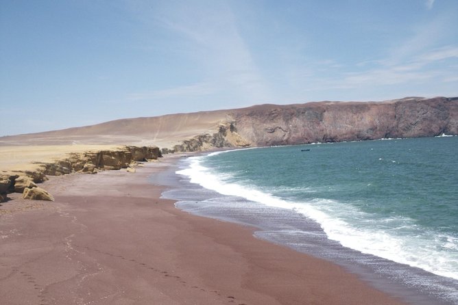 Paracas Full Day: Islas Ballestas, National Park and Sandboarding in Paracas - Traveler Reviews and Feedback
