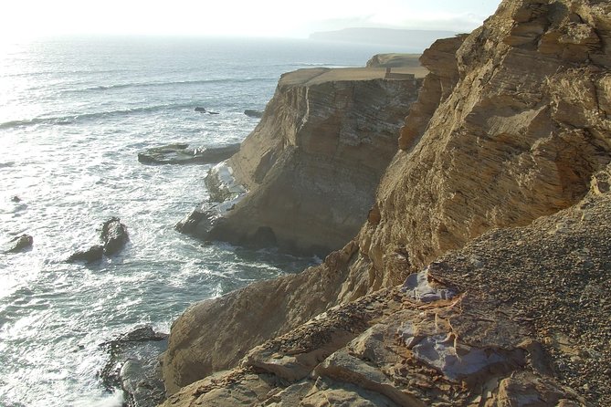 Paracas Full Day: Islas Ballestas, National Park and Sandboarding in Paracas - Getting the Most From Your Tour