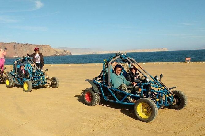 Paracas Fullday - Islas Ballestas Y Nationalpark in Minibuggy - Highlights of the Paracas Tour