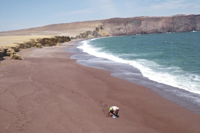 Paracas Fullday - Islas Ballestas Y Nationalpark in Minibuggy - Dune Buggy Adventure in Paracas
