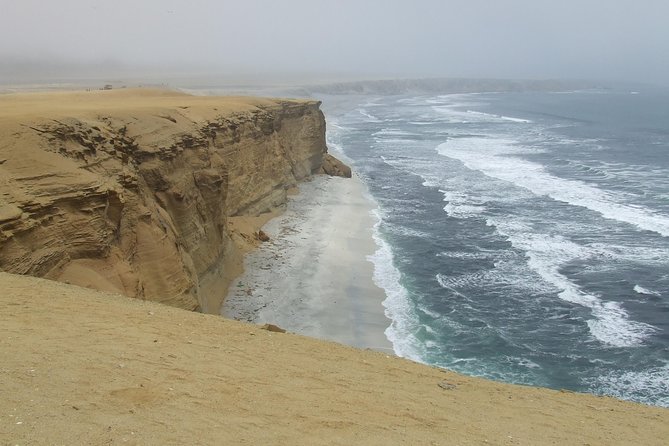 Paracas Fullday - Islas Ballestas Y Nationalpark in Minibuggy - Feedback and Reviews