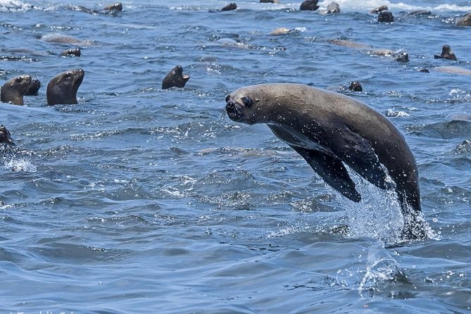 Paracas, Huacachina and Nazca: 2day/1night Tour From Lima - Adventure Sports and Activities