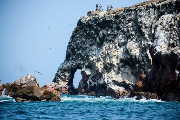Paracas, Huacachina &Nazca 2-Day Expedition: Coastal Wonders - Nazca Lines Flight