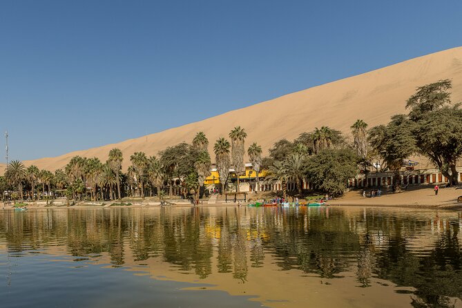 Paracas, Ica and Huacachina Day Trip From Lima | Mini-Galapagos - Recap