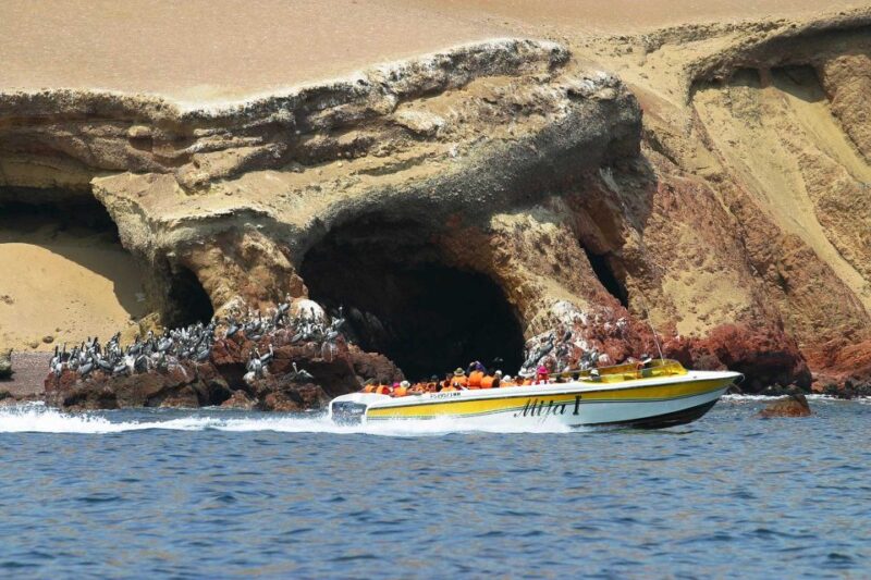 Paracas Islands & Huacachina Oasis in Ica-Adventure&Wildlife - Itinerary Highlights