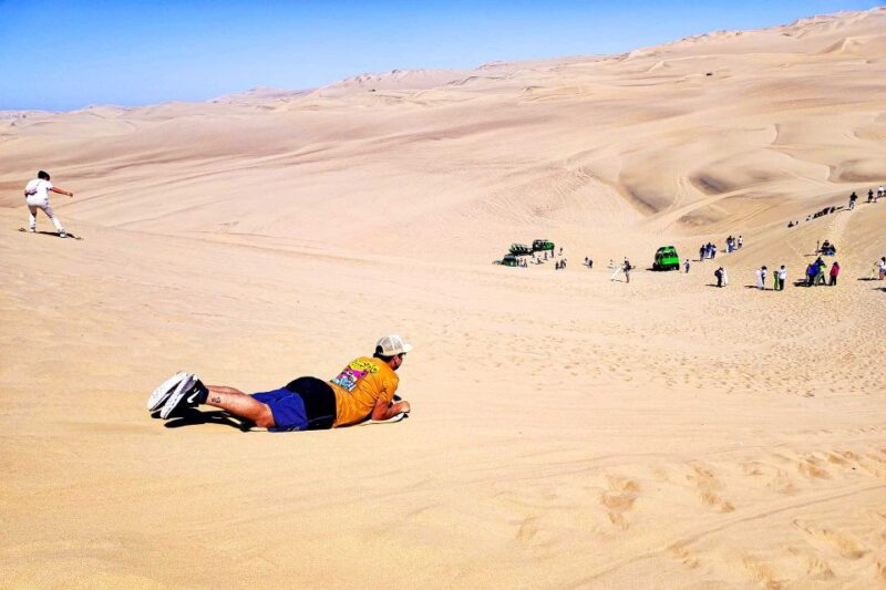 Paracas Islands & Huacachina Oasis in Ica-Adventure&Wildlife - Paracas: Wildlife Mecca