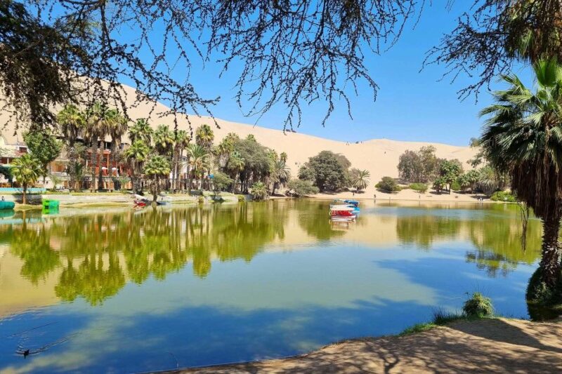 Paracas Islands & Huacachina Oasis in Ica-Adventure&Wildlife - Ica: City of Pisco