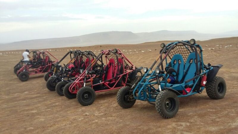 Paracas: Mini Buggy Ride in Paracas National Reserve - Tour Details