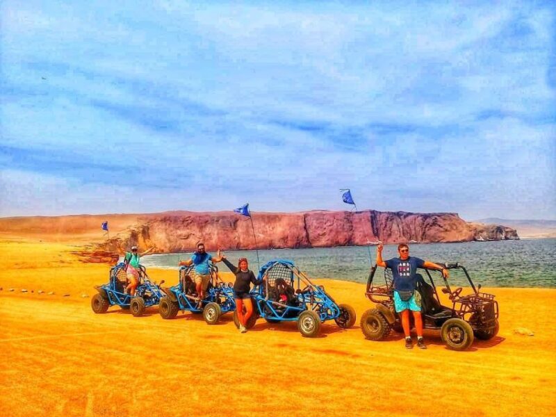 Paracas: Mini Buggy Ride in Paracas National Reserve - Inclusions and Exclusions