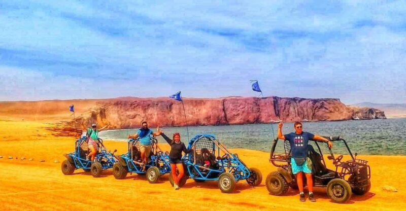 Paracas: Mini Buggy Ride in Paracas National Reserve - Important Information