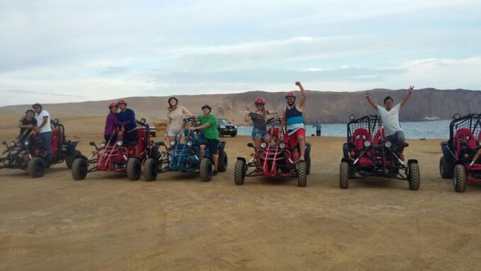 Paracas: Mini Buggy Ride in Paracas National Reserve - Booking and Reservation