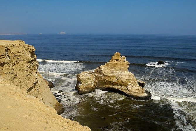Paracas National Reserve Half Day Tour - Participant Considerations