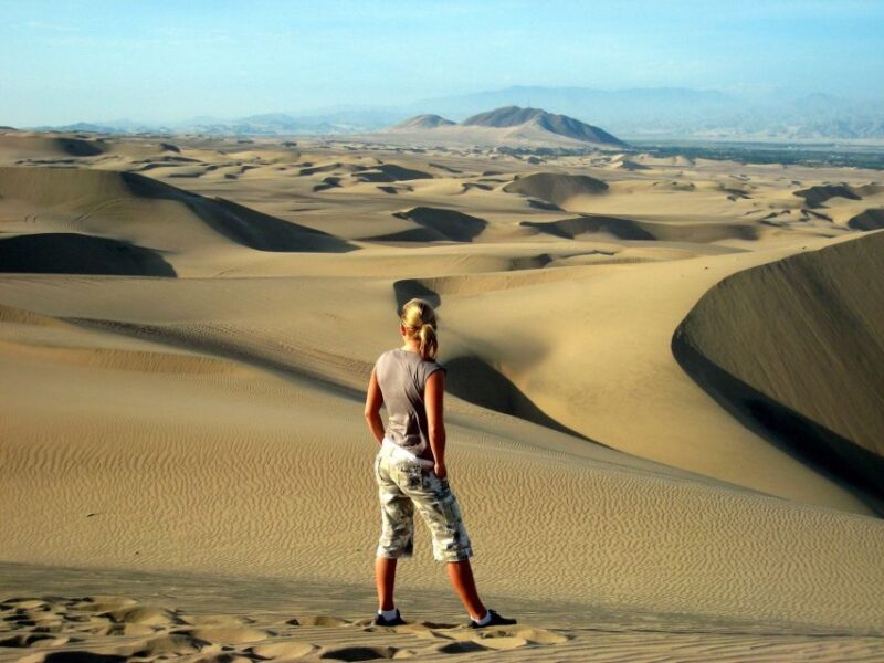 Paracas or Pisco: Private Huacachina Oasis Tour & Buggy Ride - Inclusions and Exclusions
