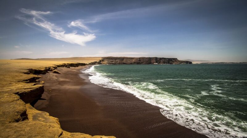 Paracas: Paracas National Reserve Half Day Tour - Itinerary Details