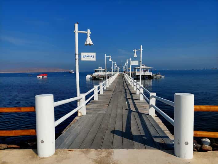 Paracas: Private Boat Tour to Ballestas Islands - Key Points