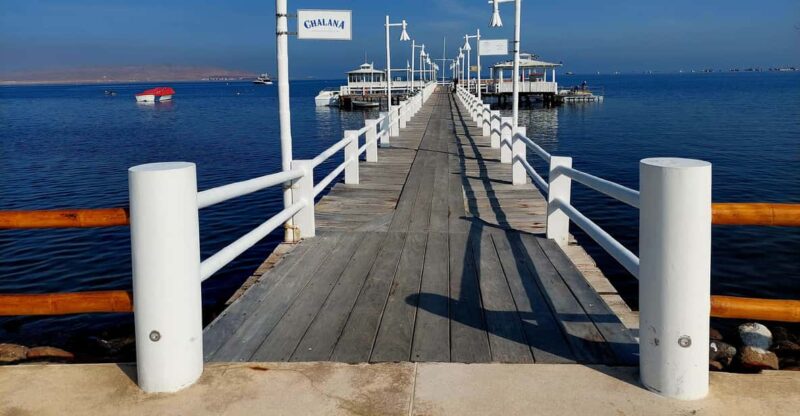 Paracas: Private Boat Tour to Ballestas Islands - Inclusions and Exclusions