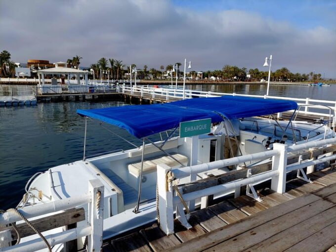 Paracas: Private Boat Tour to Ballestas Islands - Booking and Pricing