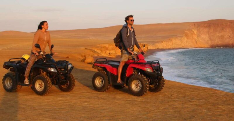 Paracas Reserve Off-Road Expedition - Buggy or Quad - Experience Highlights