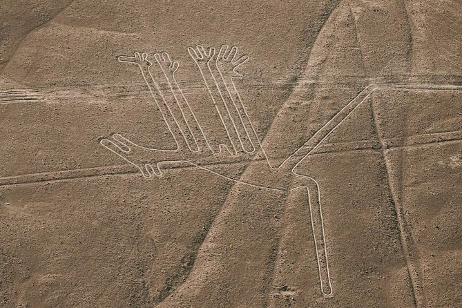 Paracas Shore Excursion: Nazca Lines Tour - Flight Experience