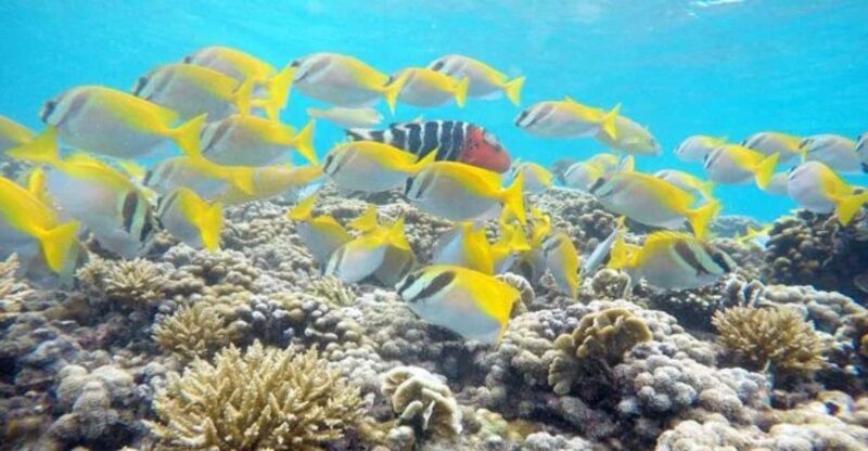 **Paradise Adventure: Escape to Koh Tao From Samui** - Highlights of the Adventure
