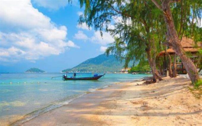 **Paradise Adventure: Escape to Koh Tao From Samui** - Important Contact Information