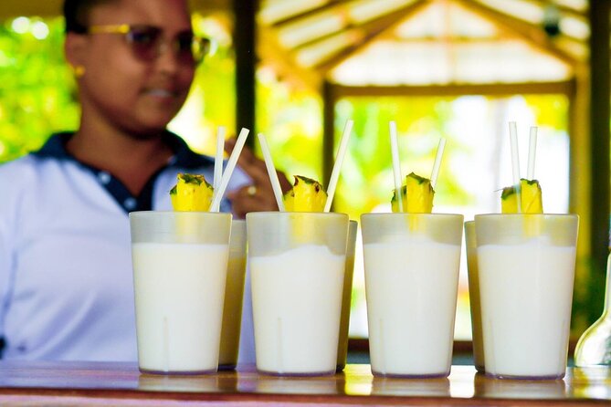 Paradise and Pigs Full Day Excursion From Puerto Plata With Lunch - Paradise Beach Resort Access