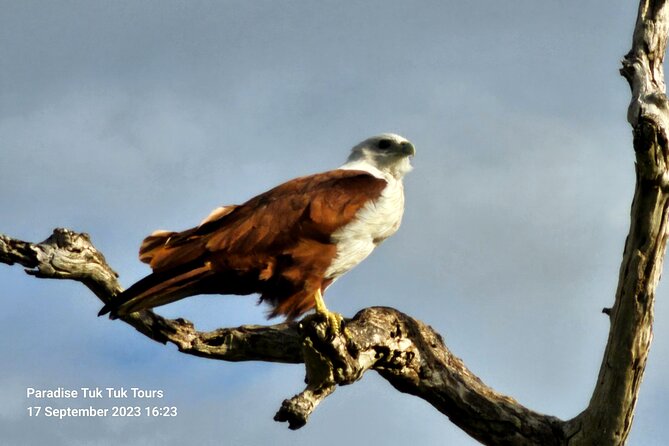 Paradise Bundala Safari Tours - Health and Accessibility