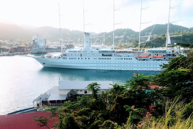 Paradise Cascades: Discover Grenadas Majestic Waterfalls Tour - Cruise Ship Passenger Confirmation