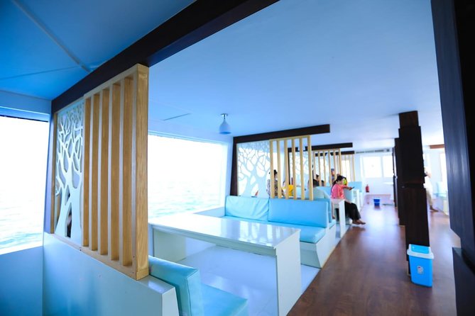 Paradise Catamaran Conquest 2 Hours Semi Submarine & Snorkeling - Hurghada - Snorkeling Activity
