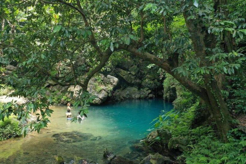 Paradise Cave and Phong Nha Cave Day Trip - Itinerary and Activities