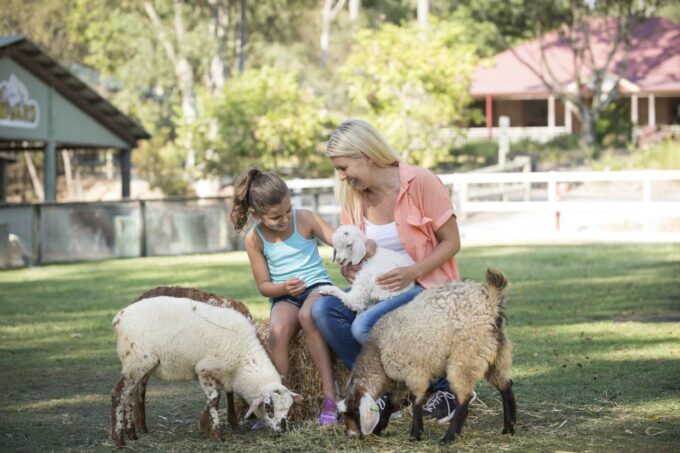Paradise Country: Ultimate Aussie Farm Experience - What to Expect on the Farm