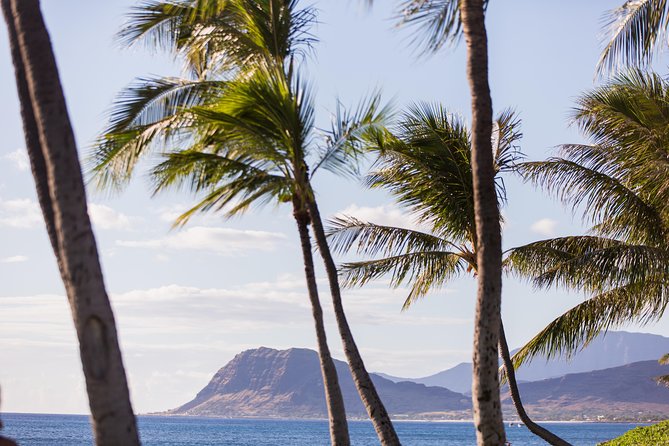 Paradise Cove Luau - Guest Feedback and Ratings