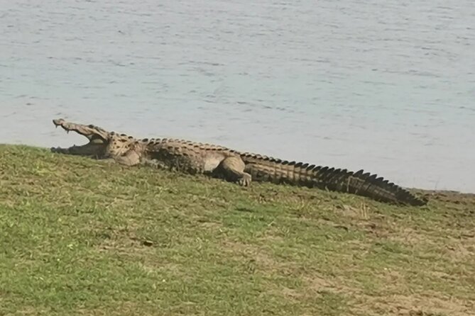 Paradise Ella/Arugambay Tourvisit or Without(Udawalawe/Yala)Tour - National Park Safaris