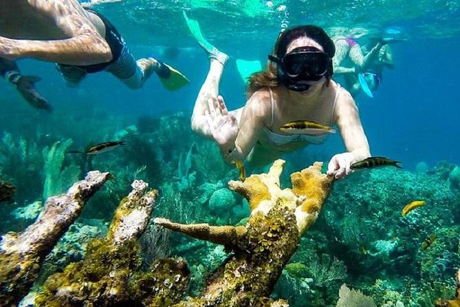 Paradise Island Cayo Arena & Mangroves From Puerto Plata (Full Day) - About Your Stay