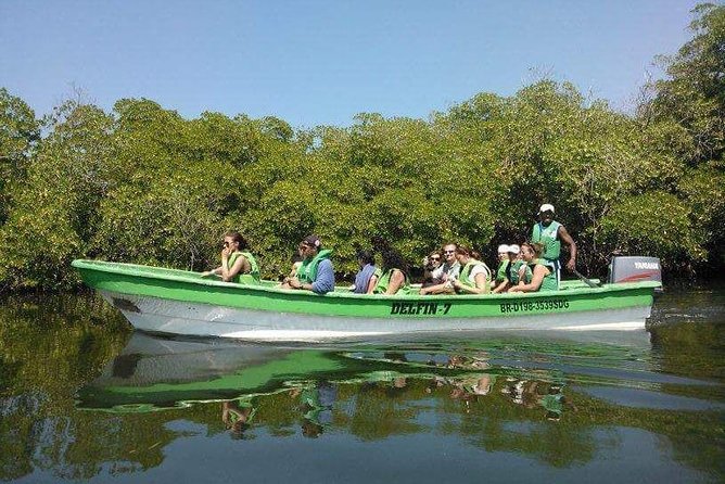 Paradise Island Cayo Arena & Mangroves From Puerto Plata (Full Day) - Reviews and Feedback