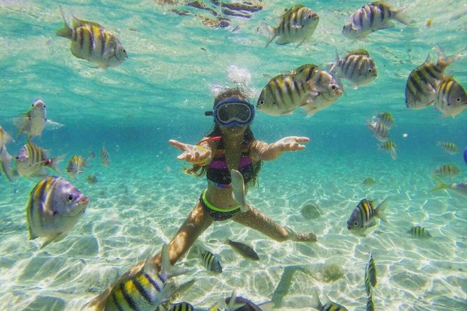 Paradise Island Cayo Arena & Mangroves From Puerto Plata (Full Day) - Destination Highlights