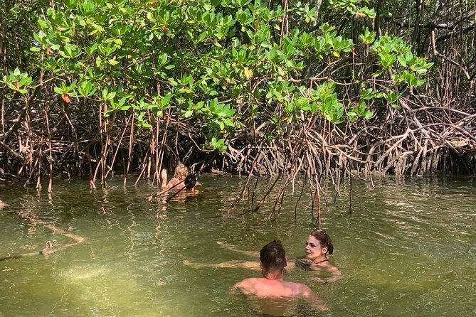 Paradise Island Cruise Snorkeling Excursion - What to Expect Onboard