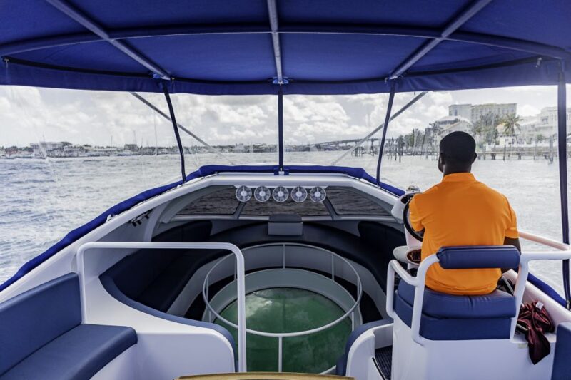 Paradise Island: Glass-Bottom Boat Tour With Live Commentary - Participant Information