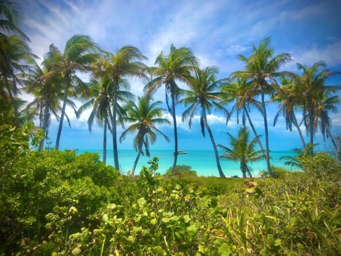 PARADISE ISLAND- ISLA CONTOY AND ISLA MUJERES - Environmental Considerations