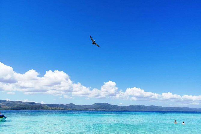 Paradise Island & Mangroves Tour - Tour Inclusions