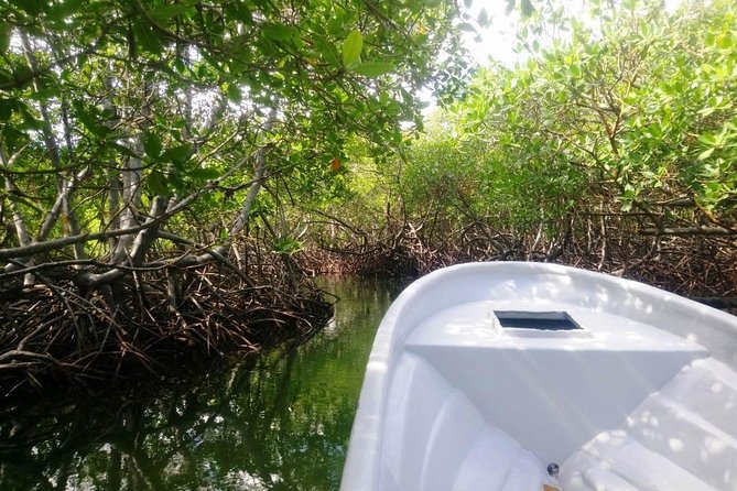 Paradise Island & Mangroves Tour - Pickup and Duration