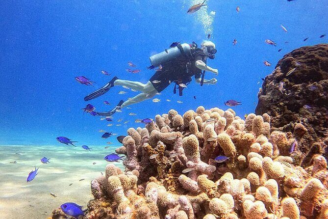 paradise island ( punta rucia) - Who Will Love This Tour?