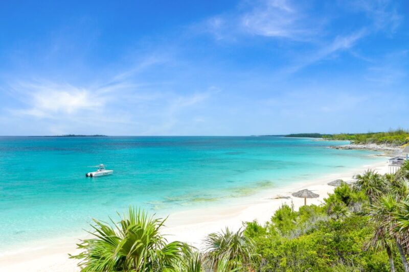 Paradise Island: Rose Island Tour With Swimming Pigs & Lunch - Included Experiences