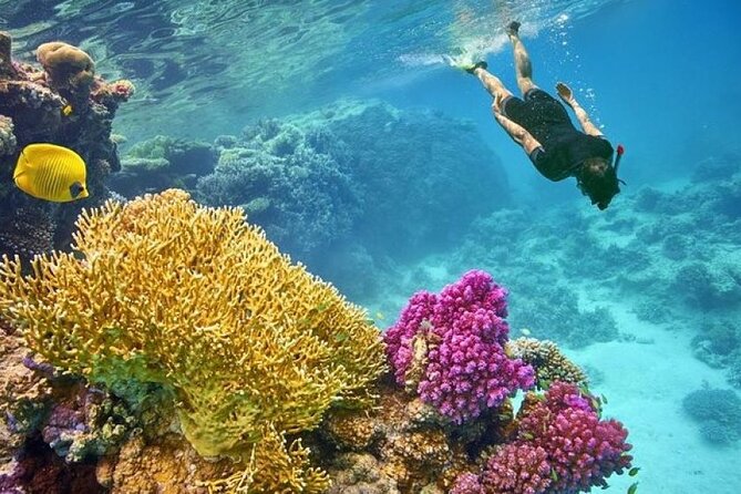 Paradise Island Snorkeling Trip With Water Sports, HurghadaToGo - Detailed Itinerary