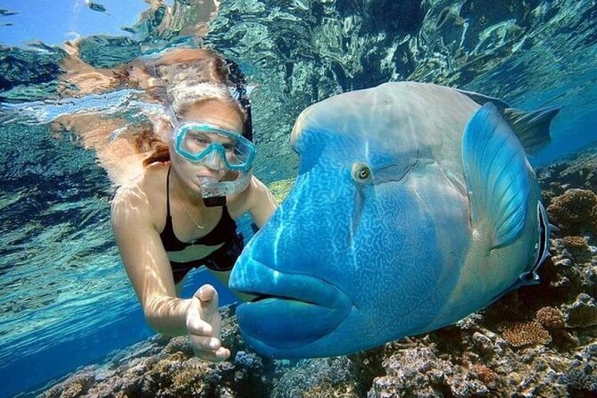 Paradise Island Snorkeling Trip With Water Sports, HurghadaToGo - Pickup and Drop-off