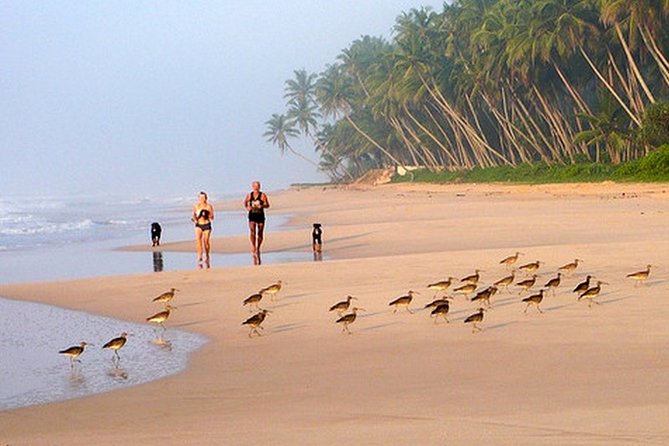 Paradise Sri Lanka (10N /11 D) - Booking and Cancellation