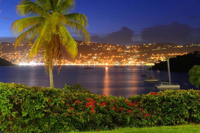 Paradise Taxi & Tours USVI- St Thomas Airport Transportation to Crown Bay Marina - Accessibility Options