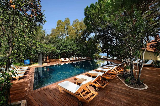 Paradise Trees, Cefalù for APT Palermo or Vice Versa, Private Transfer - Since You Asked