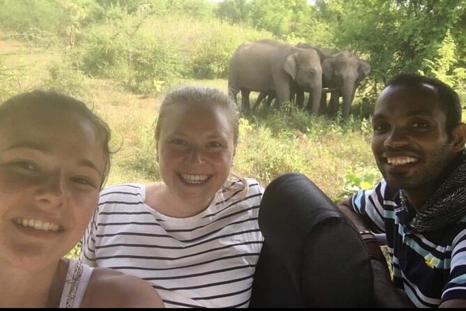 Paradise Udawalawe Safari Tours - Wildlife Experience